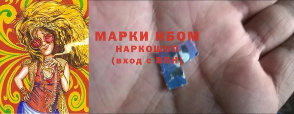 индика Кулебаки