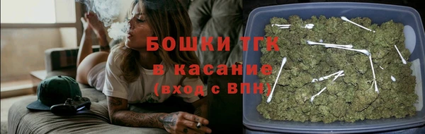 индика Кулебаки