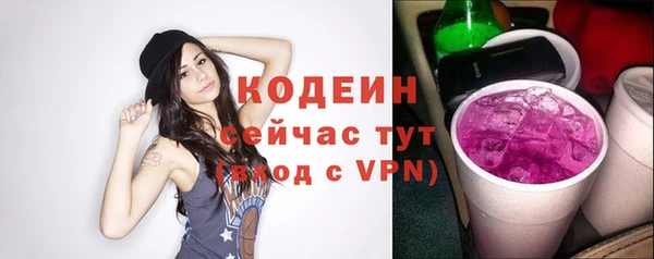 индика Кулебаки