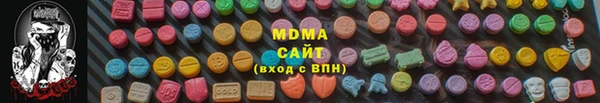 индика Кулебаки