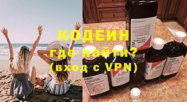 индика Кулебаки