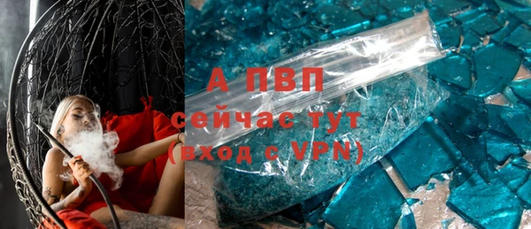 индика Кулебаки