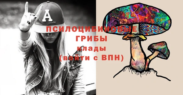 шишки Красноперекопск
