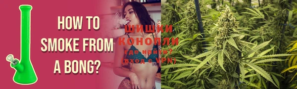 шишки Красноперекопск