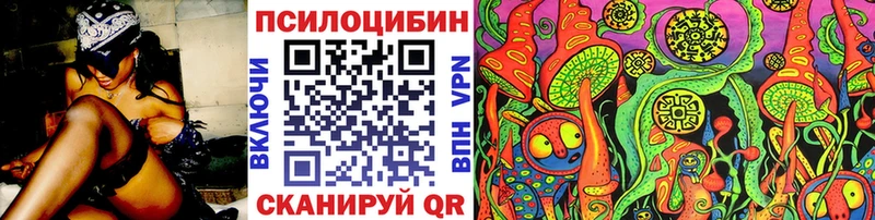Псилоцибиновые грибы Psilocybine cubensis  Купить  Шахунья 